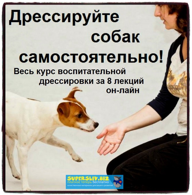 [Софья Баскина] Дрессируйте собак самостоятельно! _0.jpg